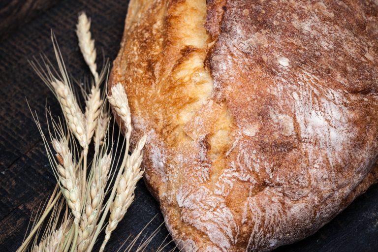 sourdough temperature