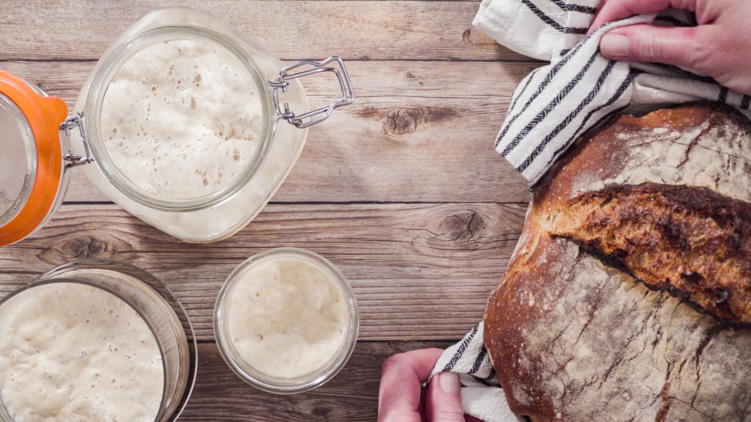 Sourdough Starter Feeding