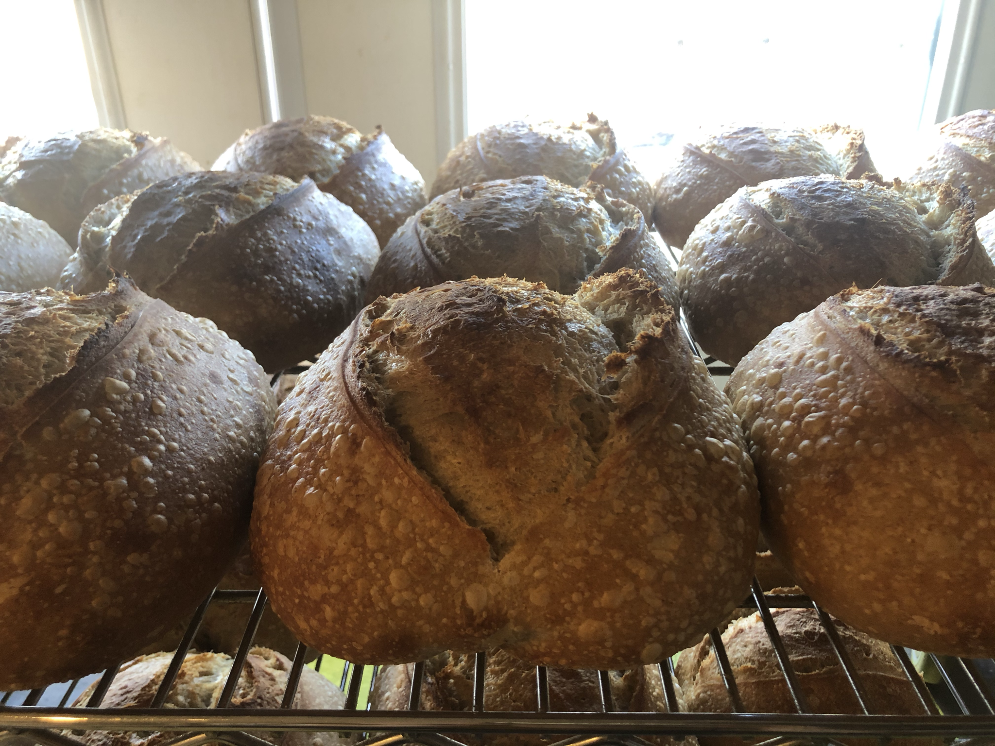 sustainable baking sourdough
