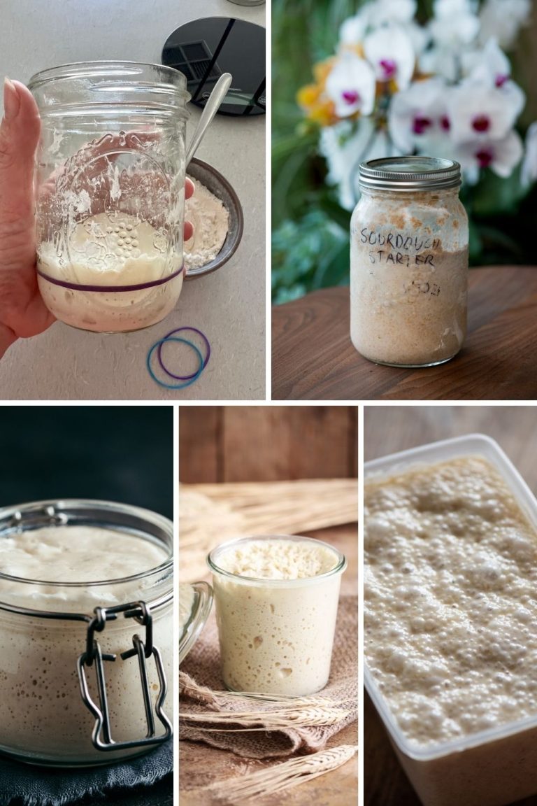 Sourdough Temperature Control
