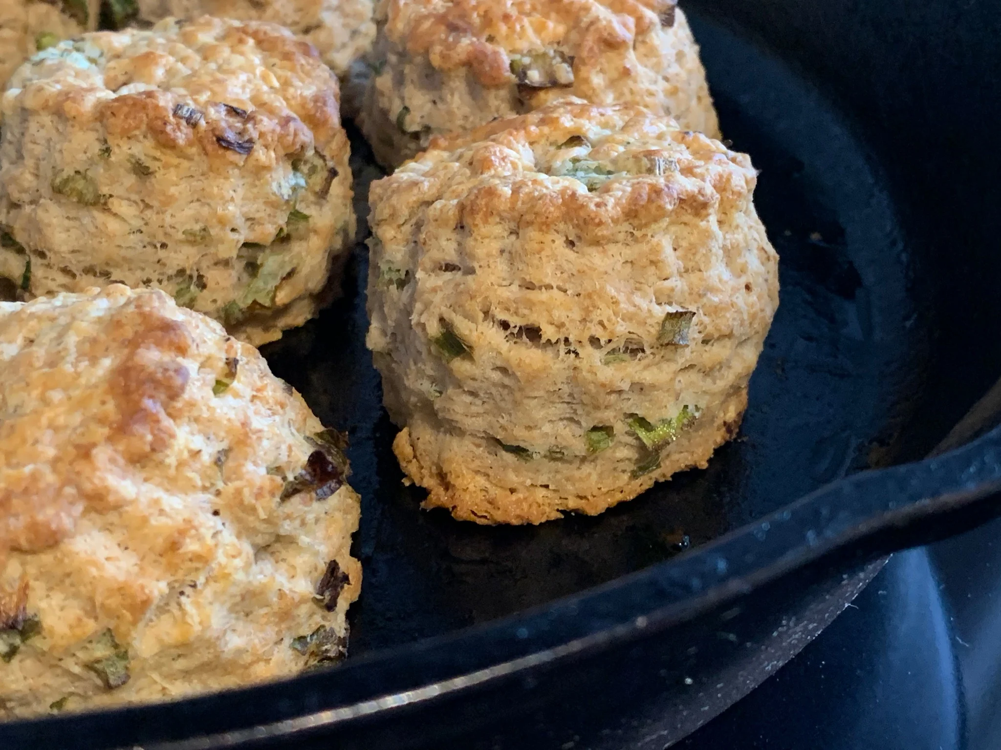 Savory Sourdough Scallion Biscuits