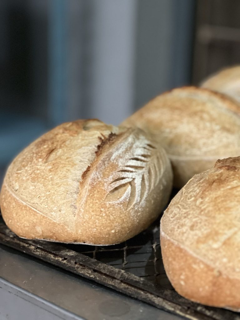 ship sourdough