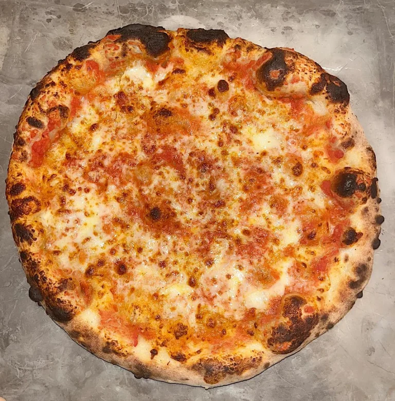 New York Style sourdough pizza