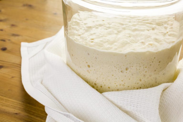 Sourdough Starter Warmer