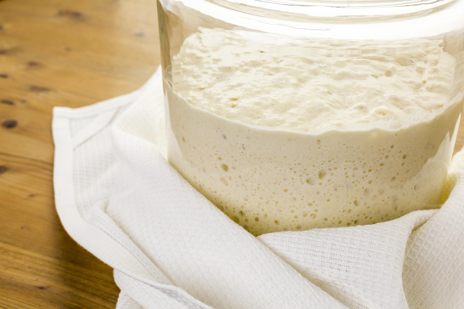Sourdough Starter Warmer